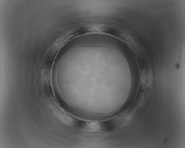 X0000116580409200912101545