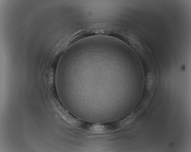 X0000116580413200912101545