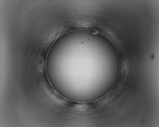 X0000116580414200912101545