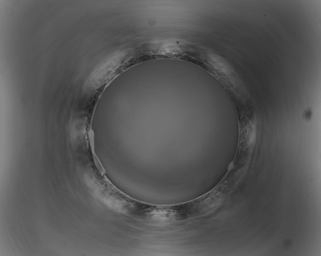 X0000116580415200912101545