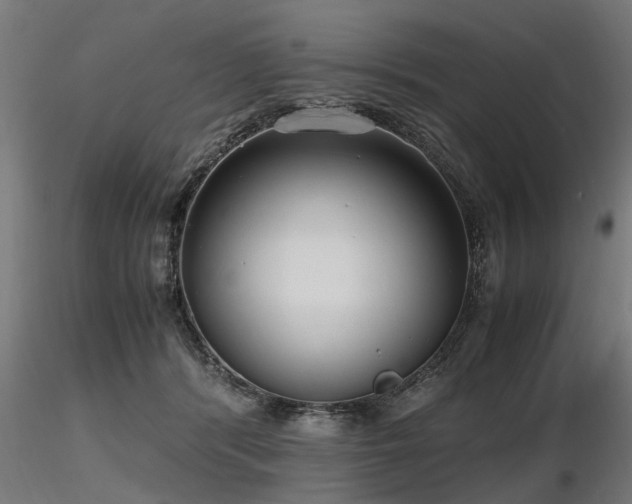 X0000116580416200912101544