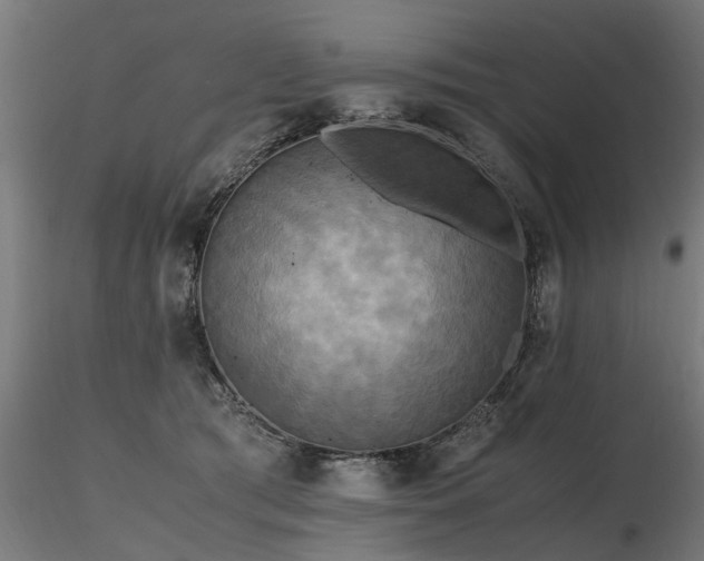 X0000116580417200912101544