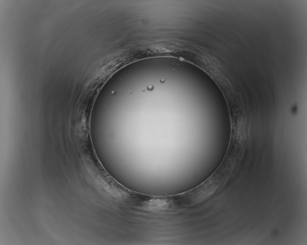 X0000116580418200912101544