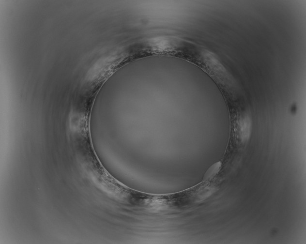 X0000116580419200912101544