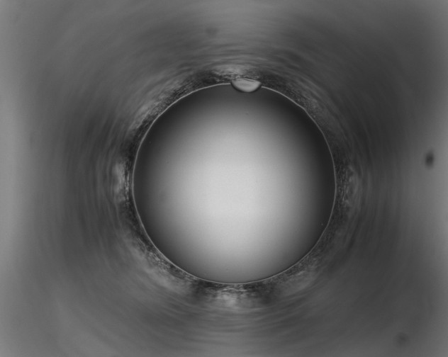 X0000116580420200912101544