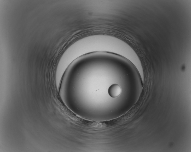 X0000116580421200912101544