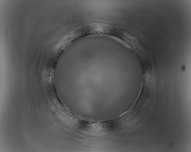 X0000116580423200912101544