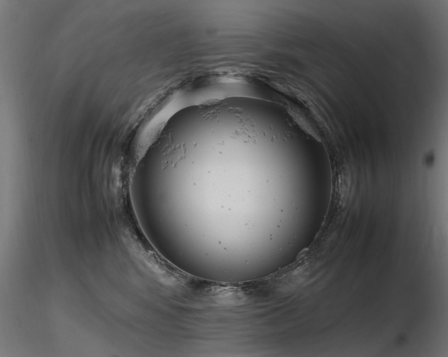 X0000116580424200912101544