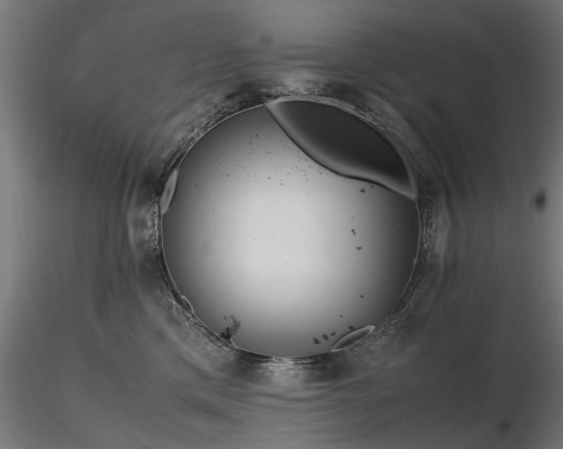 X0000116580425200912101544