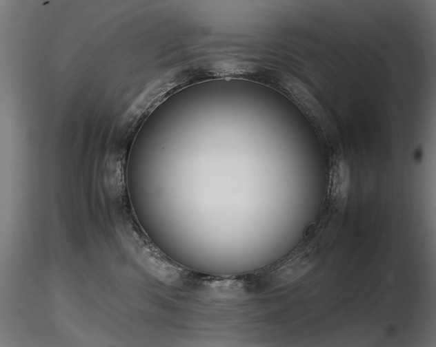 X0000116580426200912101544