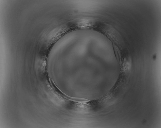 X0000116580427200912101544