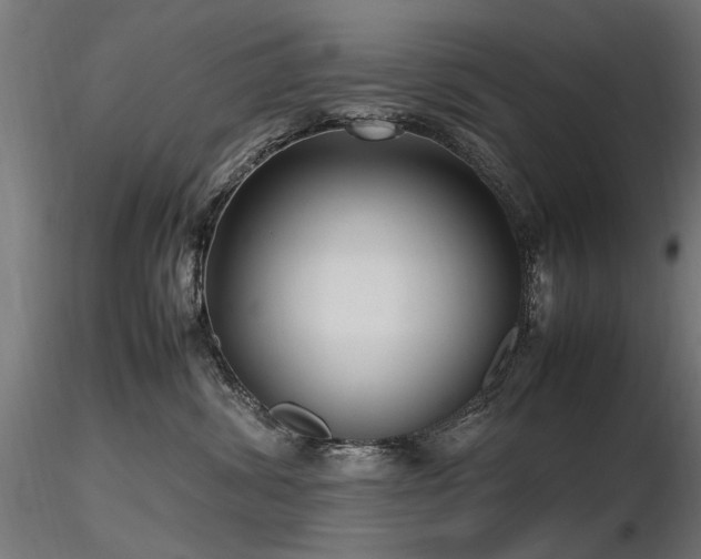 X0000116580428200912101544