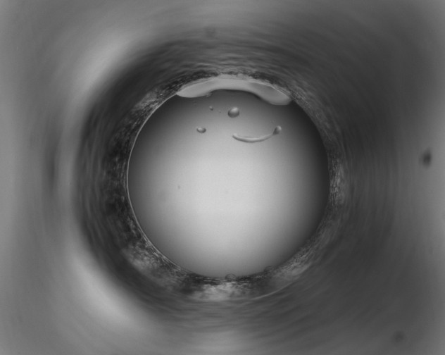 X0000116580430200912101544