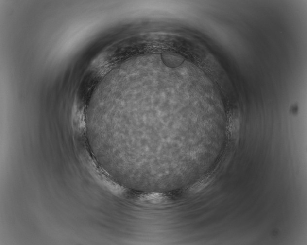 X0000116580431200912101544