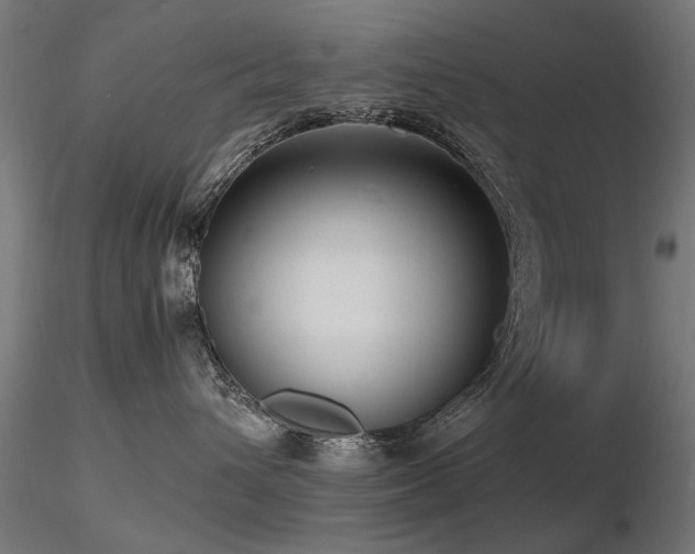 X0000116580432200912101544