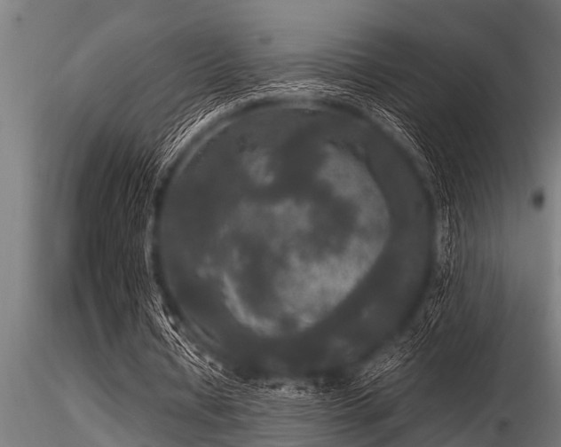 X0000116580434200912101544