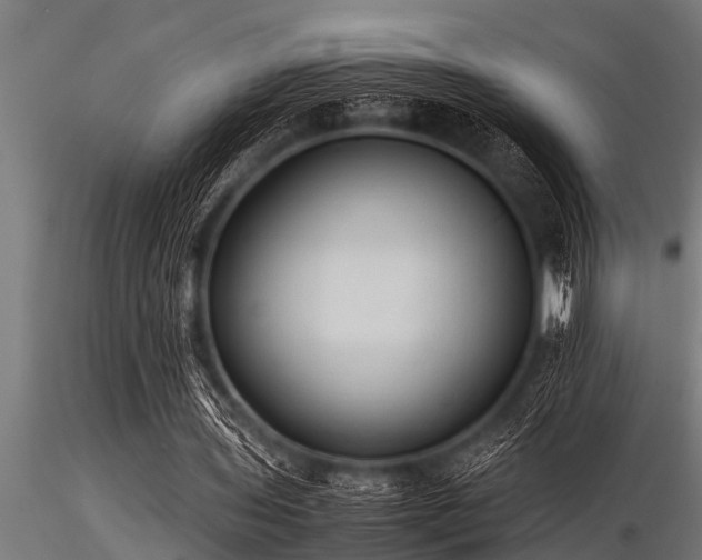 X0000116580435200912101544