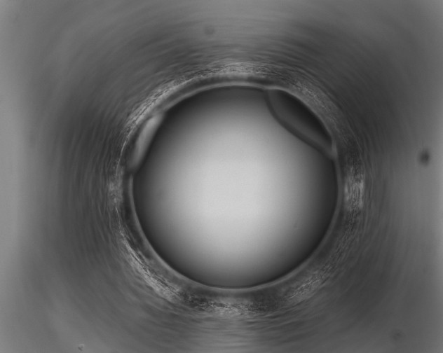 X0000116580436200912101544