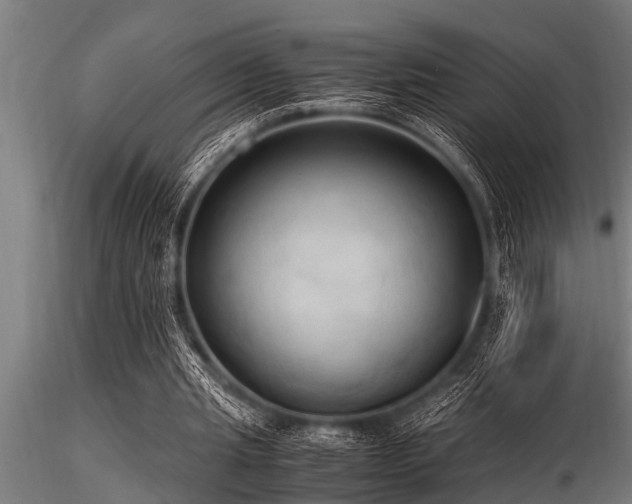 X0000116580437200912101544