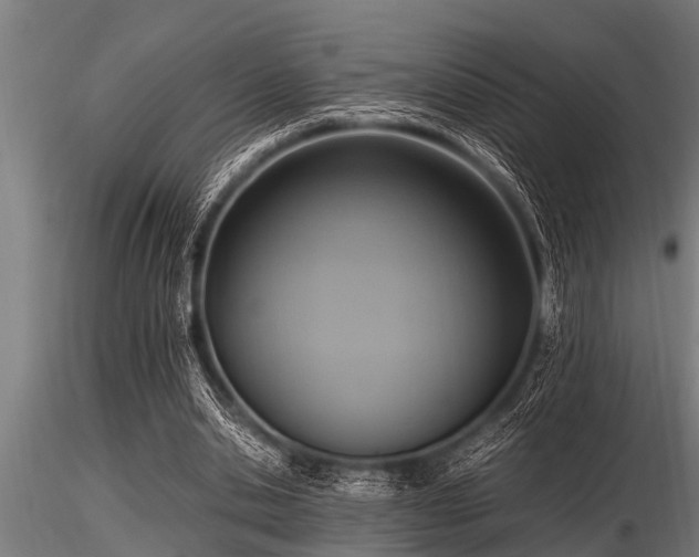 X0000116580438200912101544