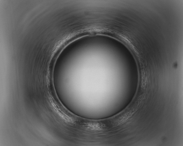 X0000116580439200912101544