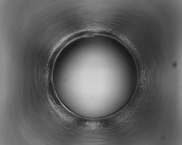 X0000116580440200912101544