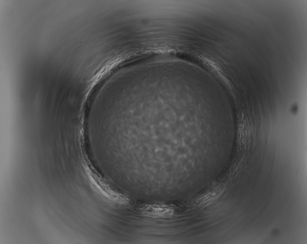 X0000116580443200912101544