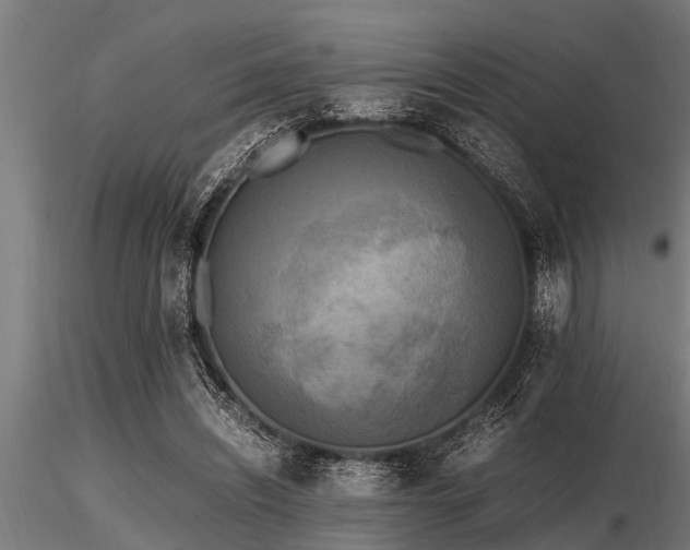 X0000116580444200912101544