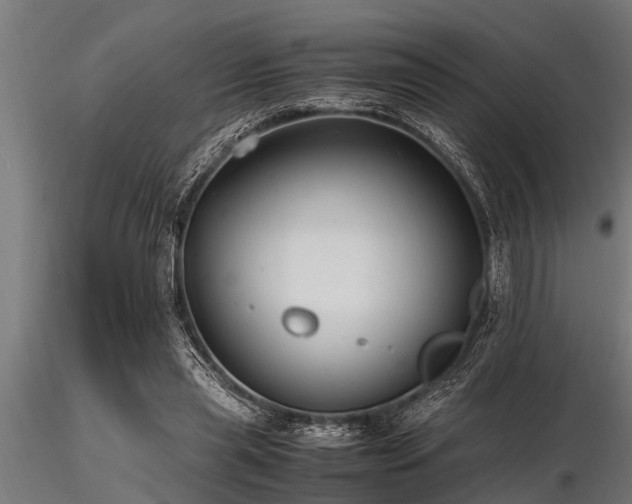 X0000116580445200912101544