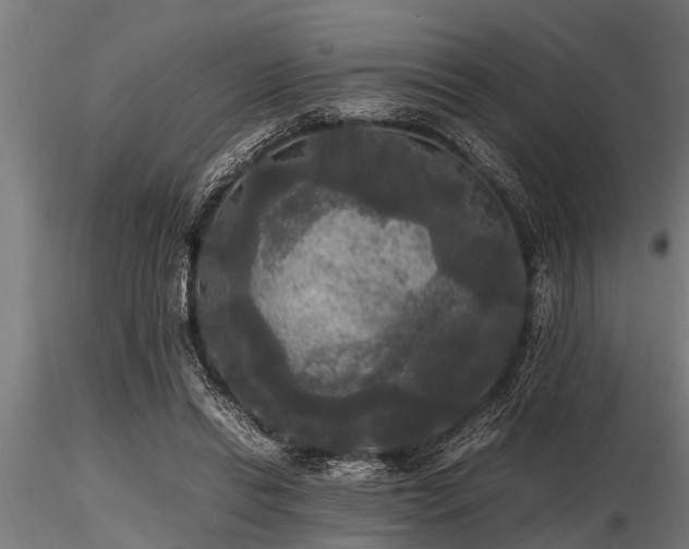 X0000116580446200912101544