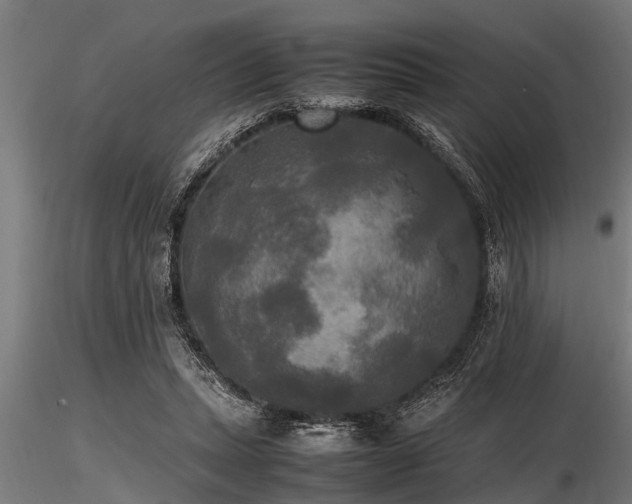 X0000116580447200912101544