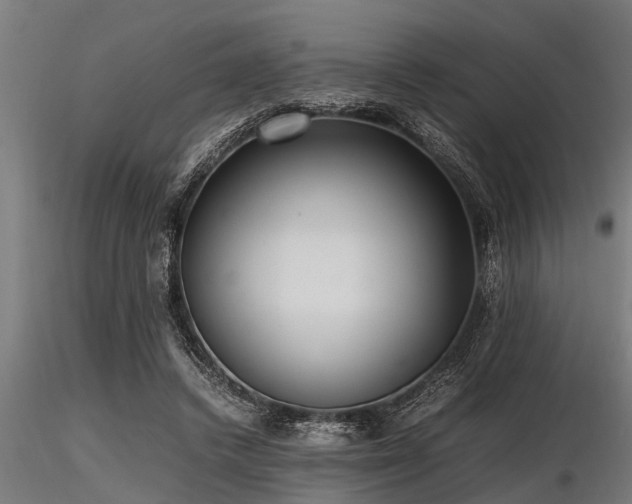 X0000116580448200912101544