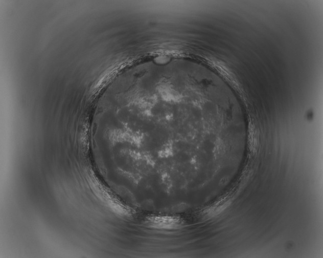 X0000116580449200912101544