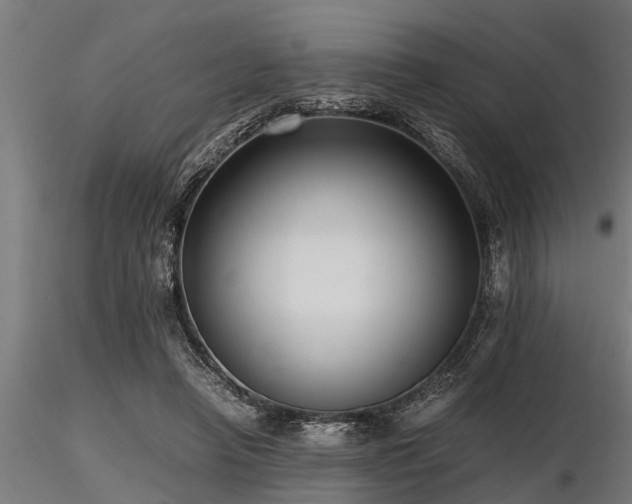 X0000116580450200912101544