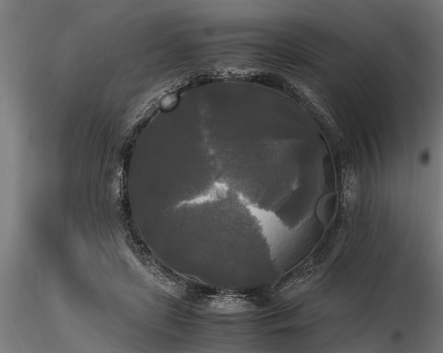 X0000116580451200912101544