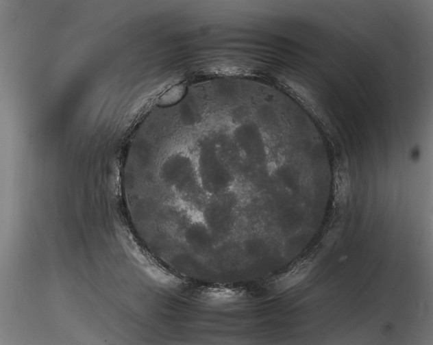 X0000116580453200912101544