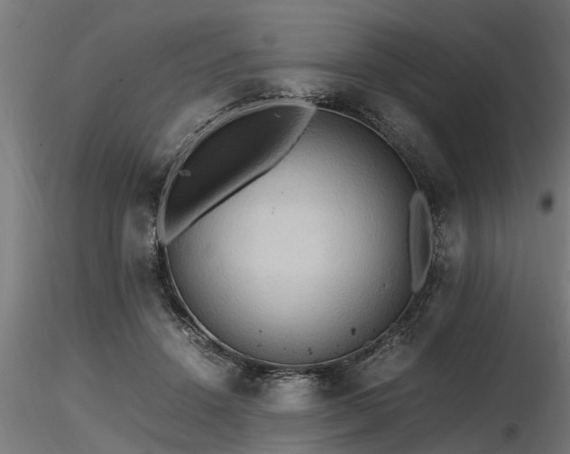 X0000116580456200912101544