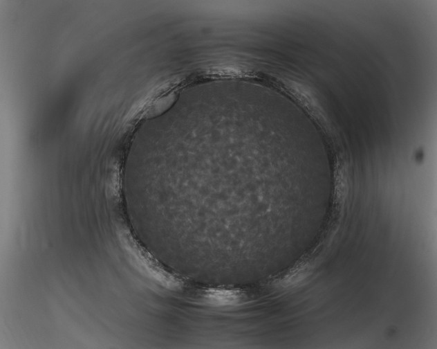 X0000116580457200912101544