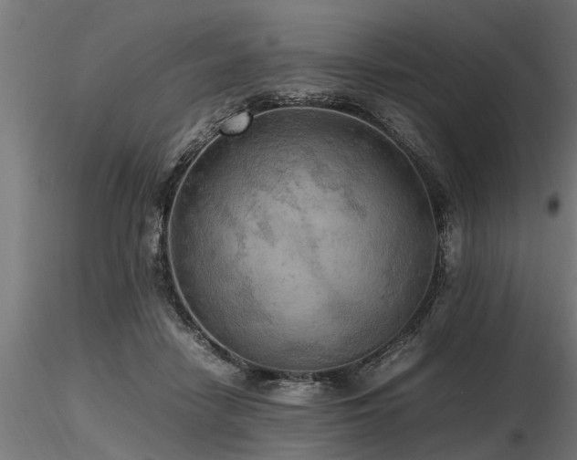 X0000116580458200912101544