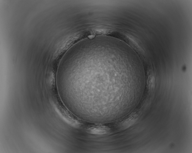 X0000116580459200912101544