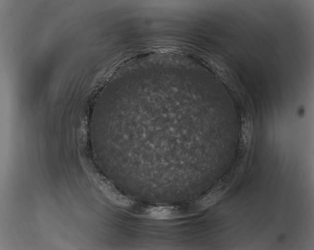 X0000116580461200912101544