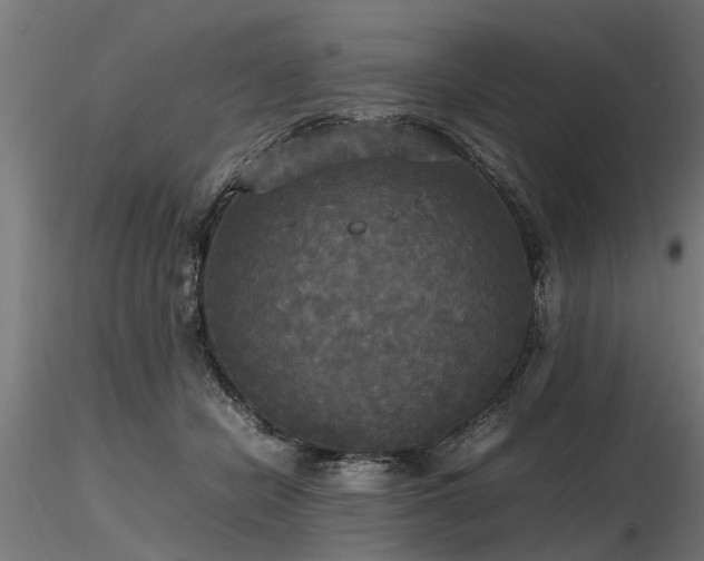 X0000116580462200912101544