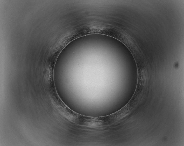 X0000116580463200912101544