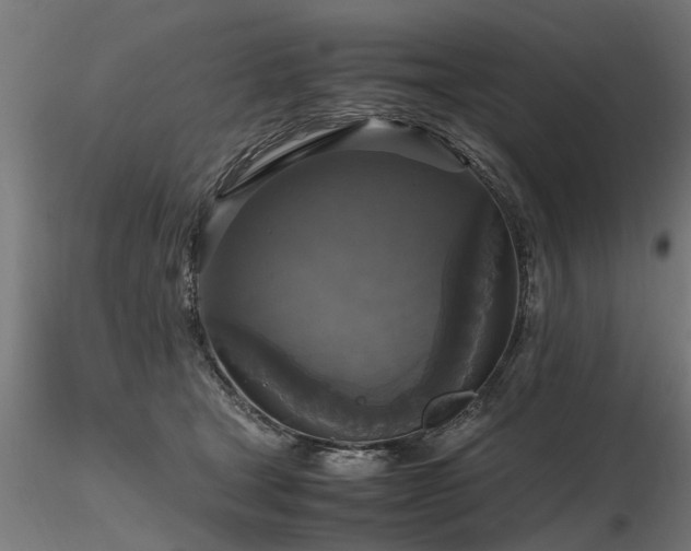 X0000116580465200912101544