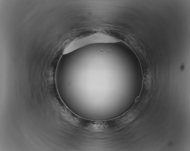 X0000116580466200912101544