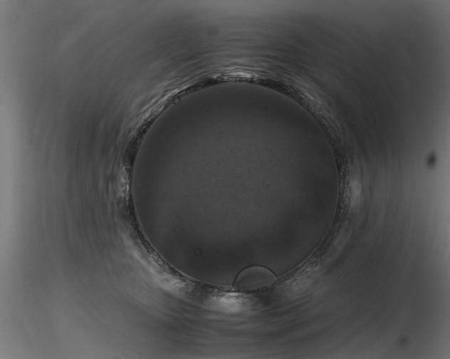 X0000116580467200912101544