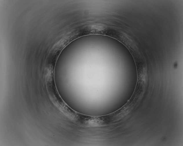 X0000116580468200912101544