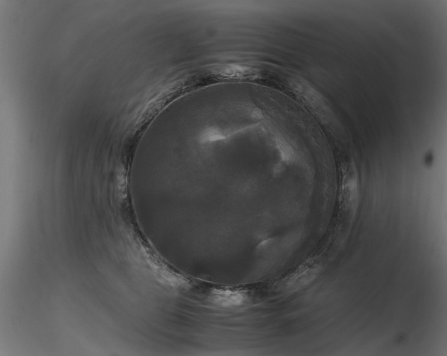 X0000116580469200912101544