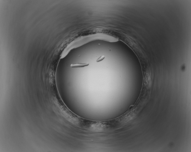 X0000116580470200912101544