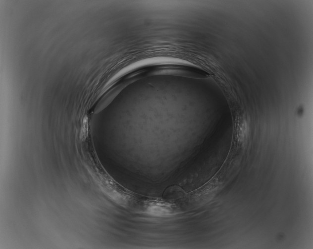 X0000116580471200912101544